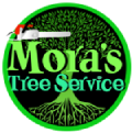 Mora's Tree Services